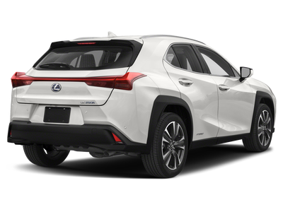 2021 Lexus UX 250h 250h