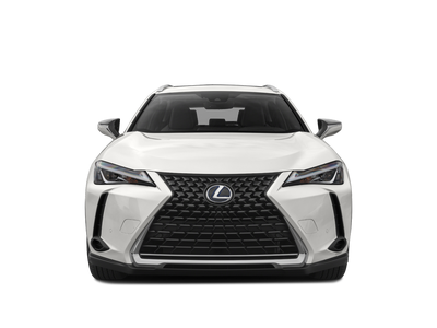 2021 Lexus UX 250h 250h
