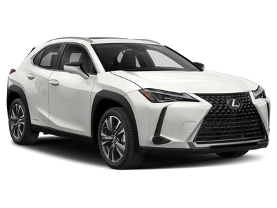 2021 Lexus UX 250h 250h
