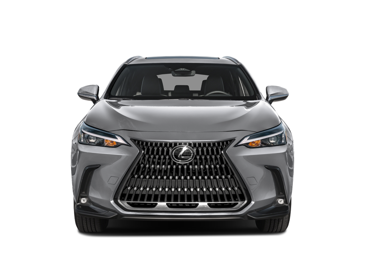 2025 Lexus NX 250 250