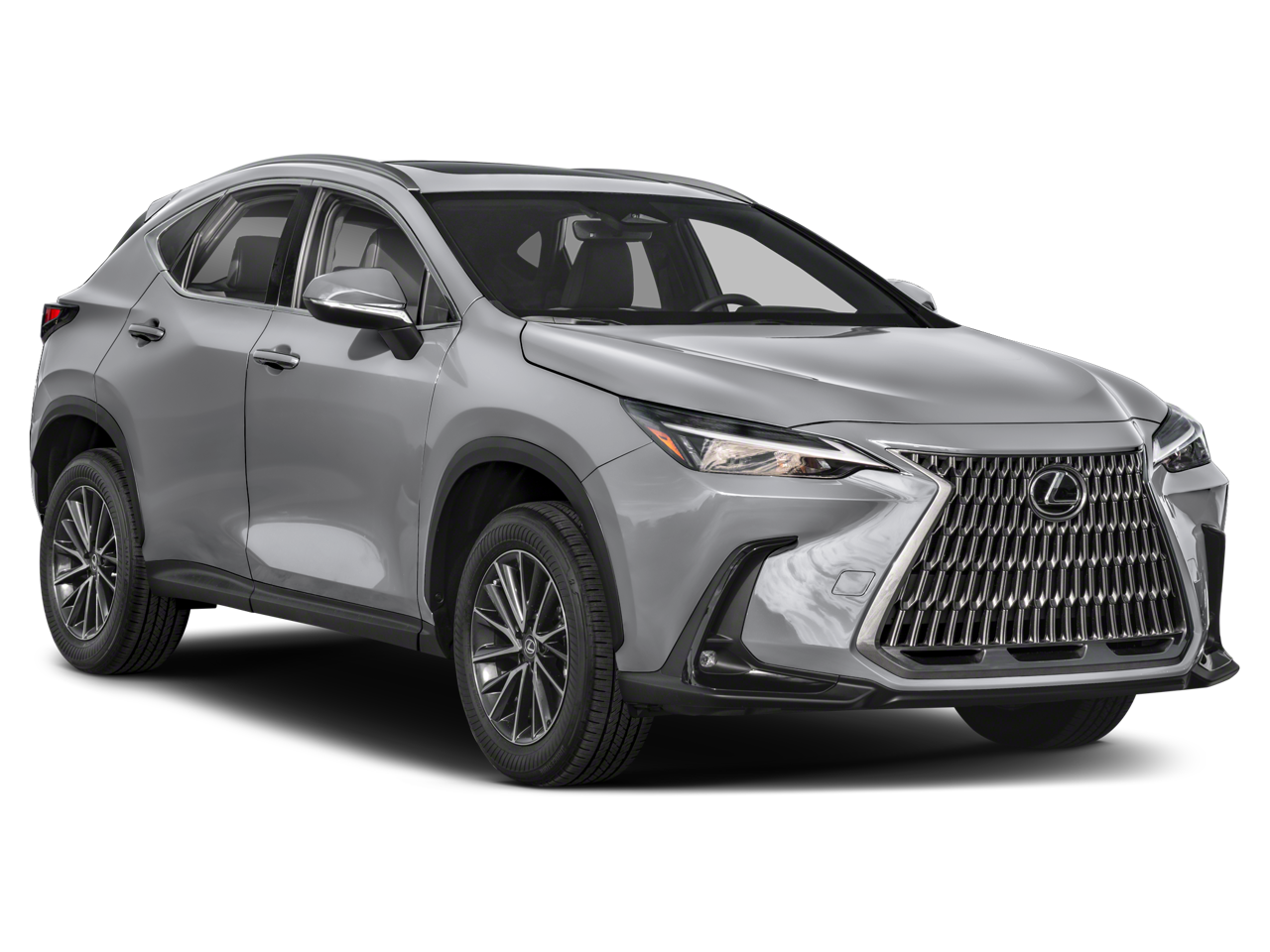 2025 Lexus NX 250 250