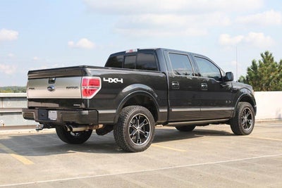 2013 Ford F-150 Platinum