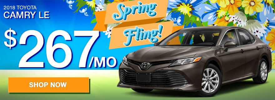 Spring camry 2018 Toyota Camry LE